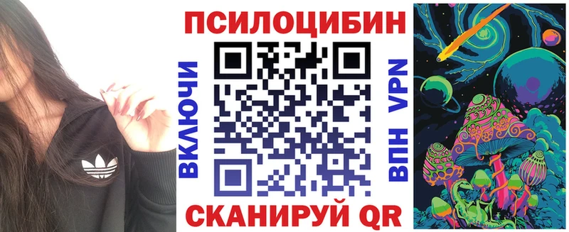 Галлюциногенные грибы Psilocybine cubensis  Купить где  Истра 